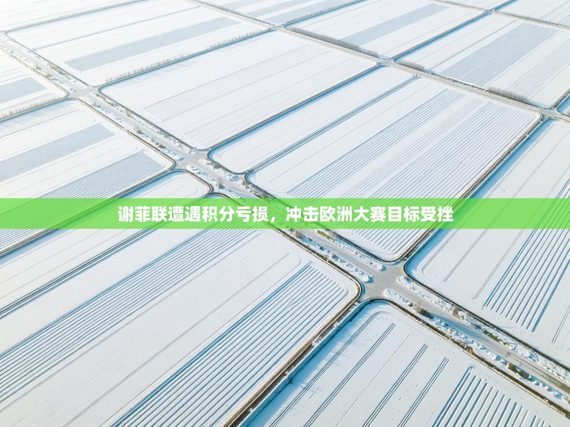 谢菲联遭遇积分亏损，冲击欧洲大赛目标受挫  第1张