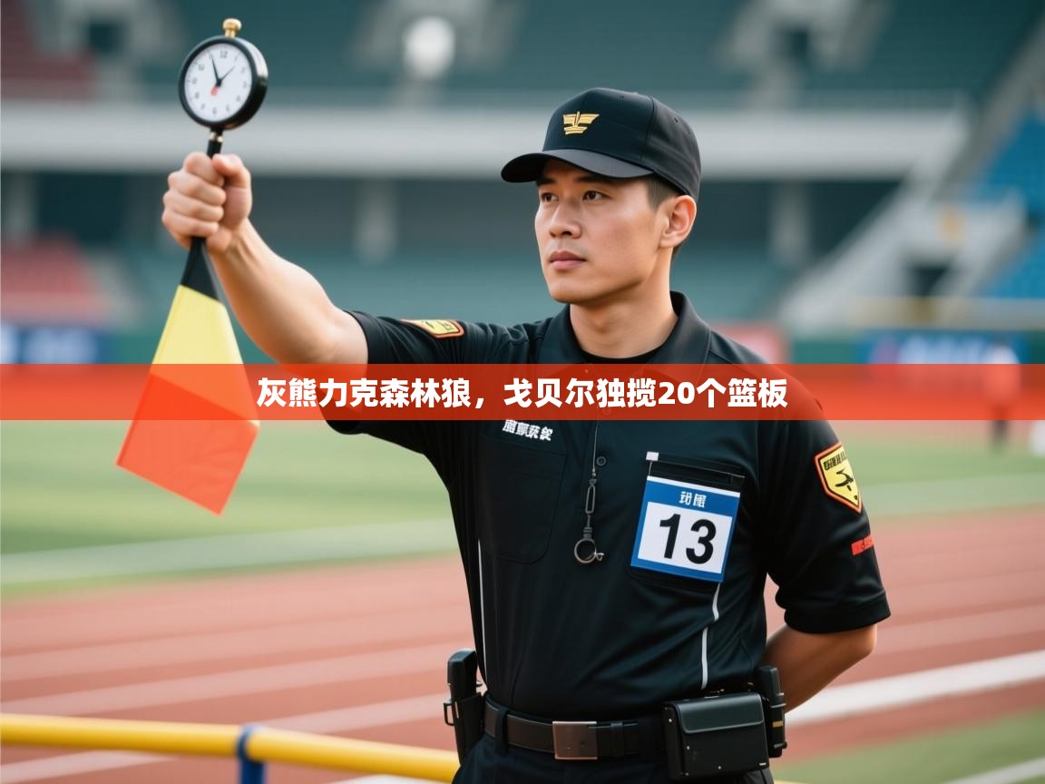 灰熊力克森林狼，戈贝尔独揽20个篮板  第1张