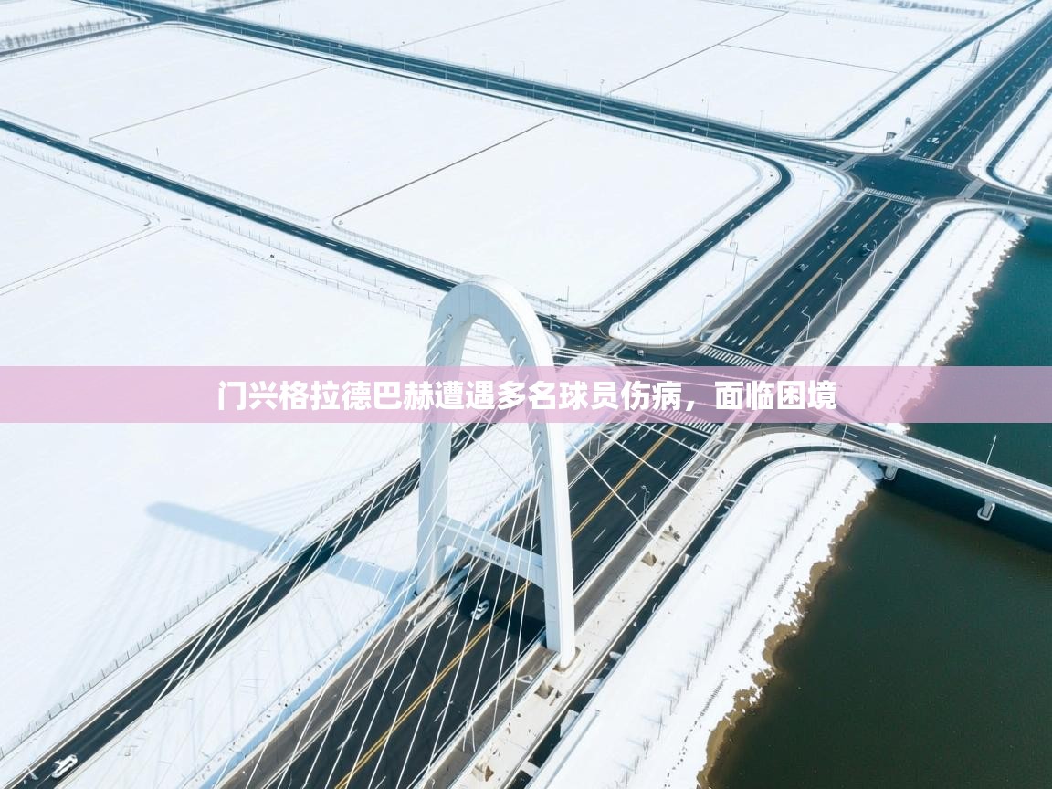 门兴格拉德巴赫遭遇多名球员伤病，面临困境  第1张