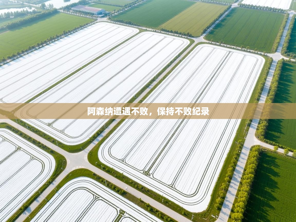 阿森纳遭遇不败，保持不败纪录  第1张