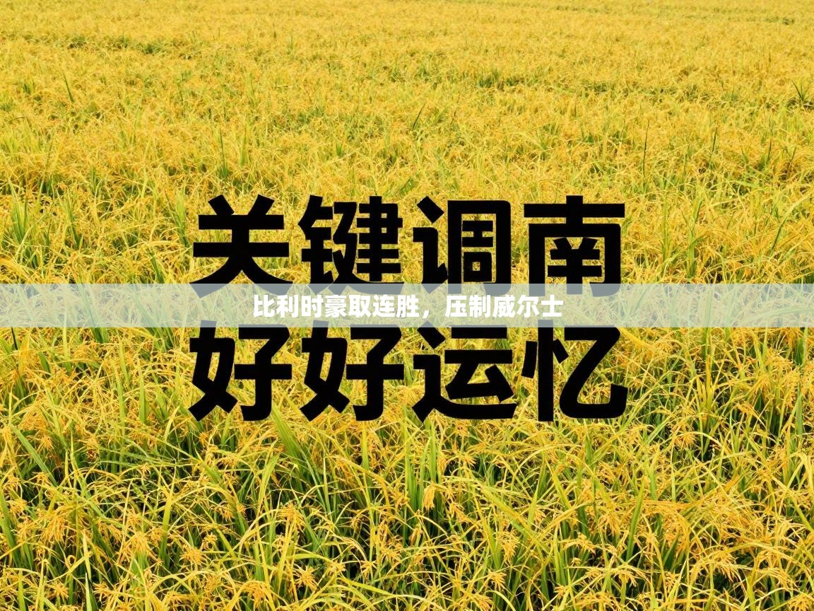 比利时豪取连胜，压制威尔士  第2张