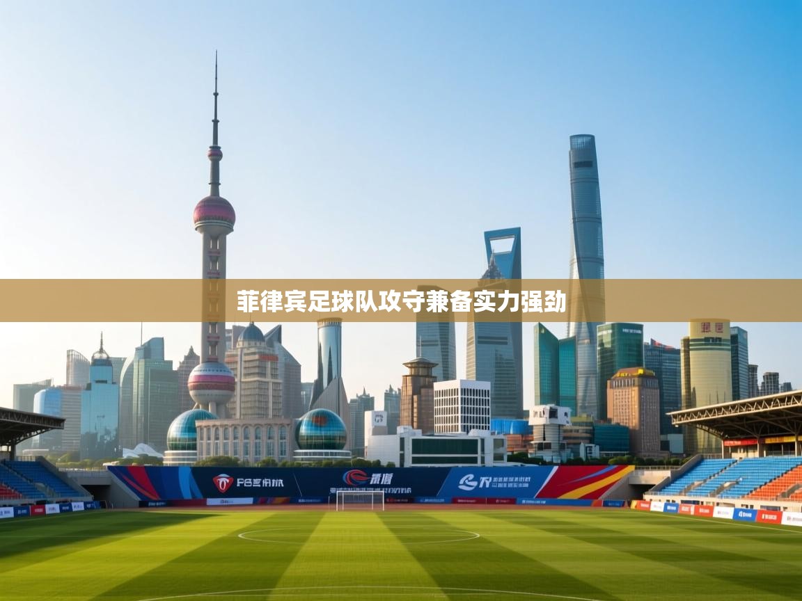 菲律宾足球队攻守兼备实力强劲  第1张