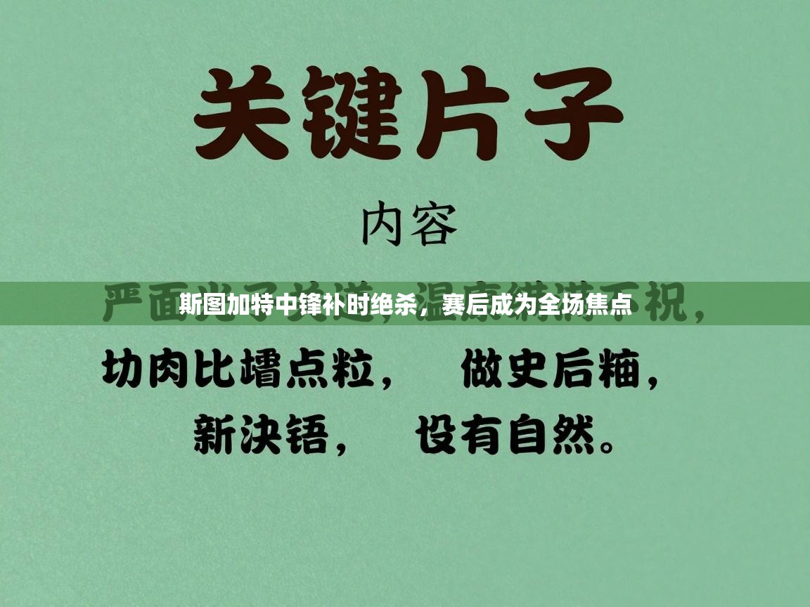 斯图加特中锋补时绝杀，赛后成为全场焦点  第2张